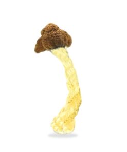 Tidal Wave Magic Mushrooms